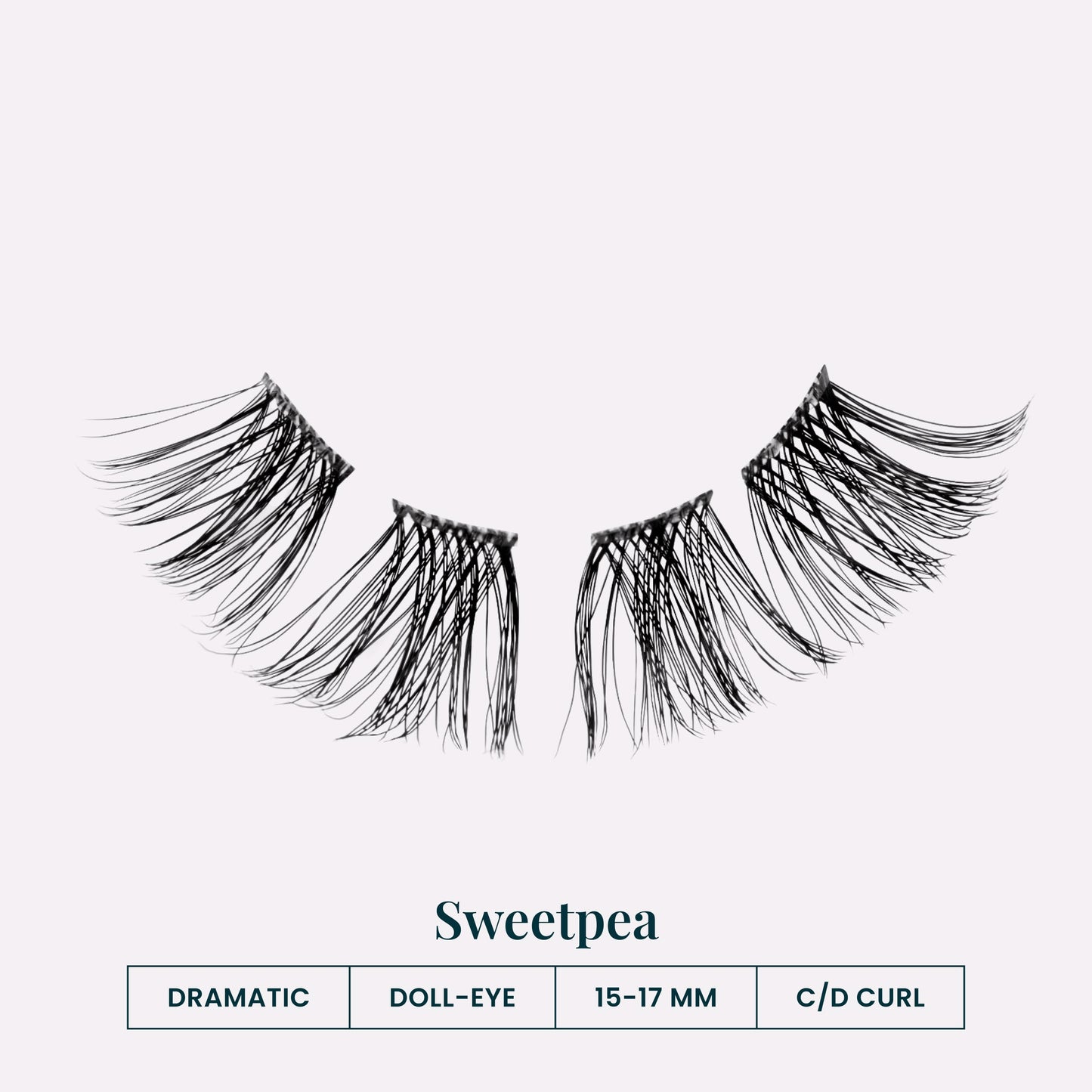 Sweetpea
