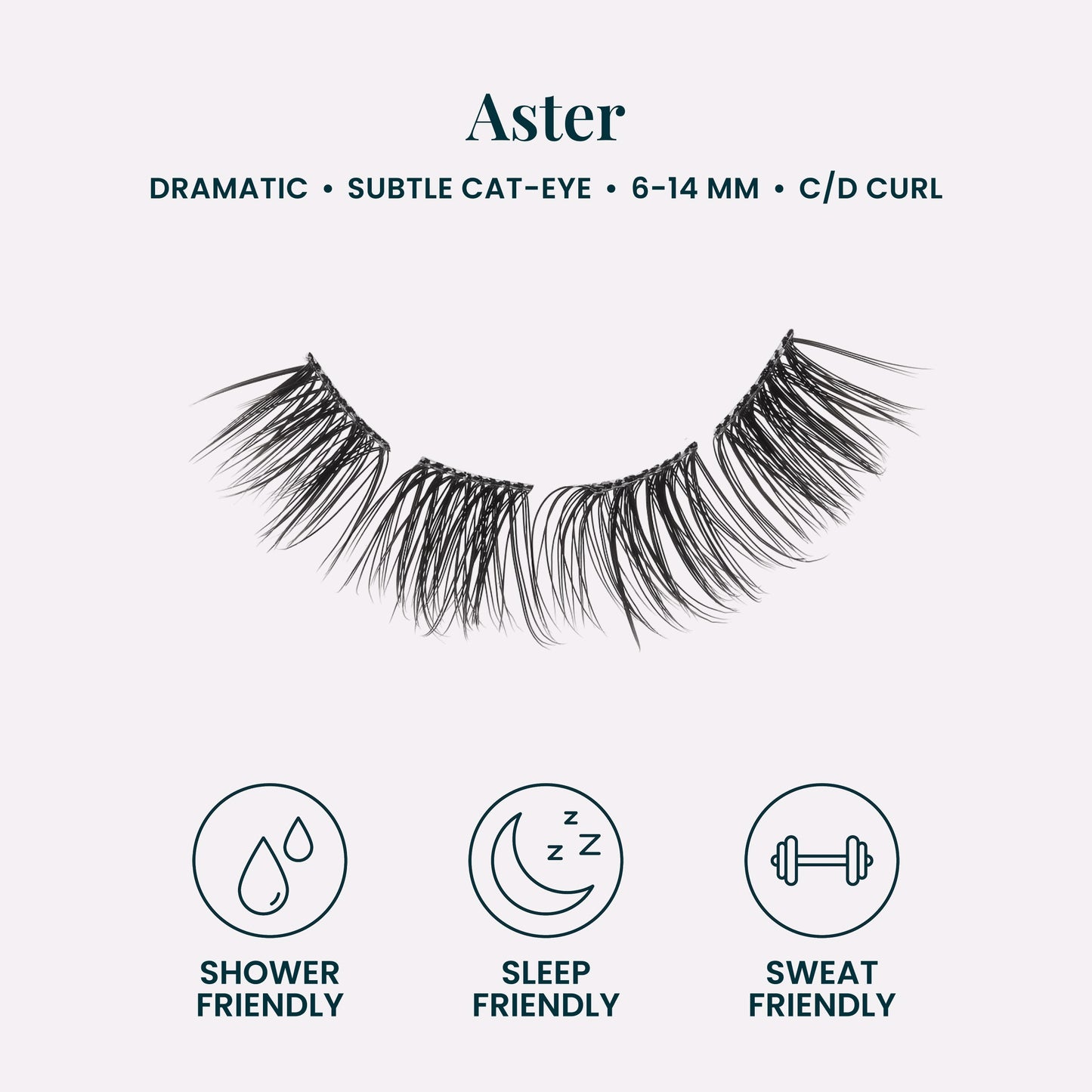 Aster