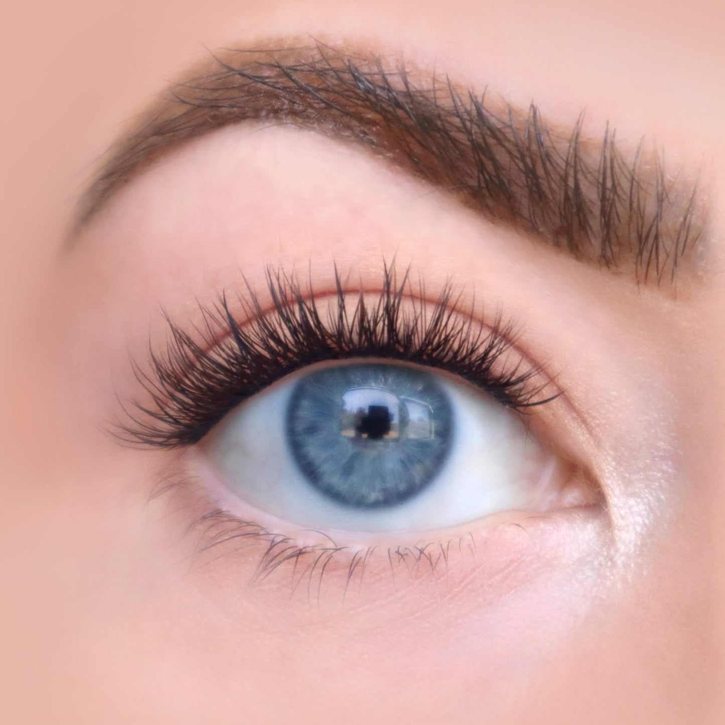 The Baby Lash | Eye Crop