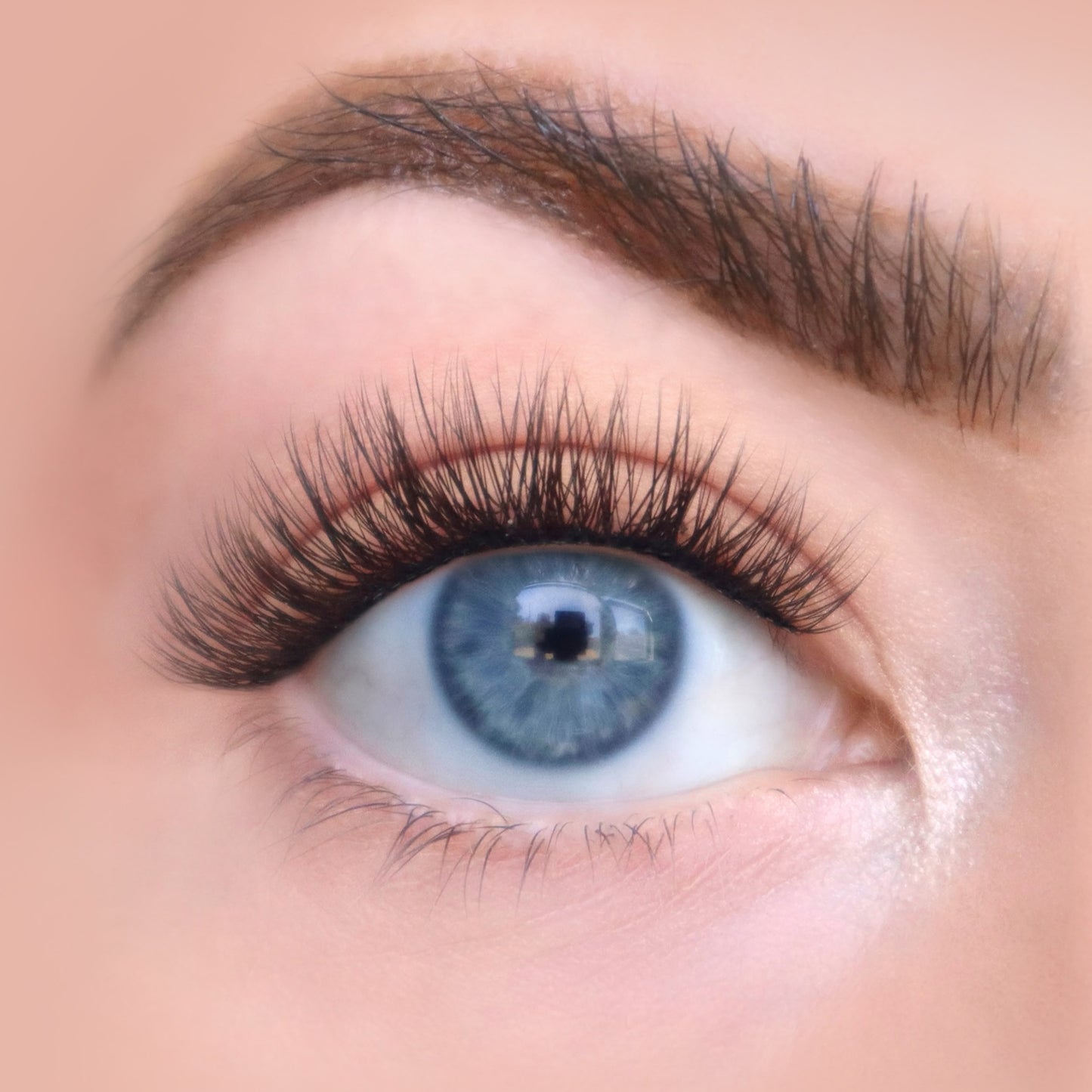 Shorties® | Eye Crop