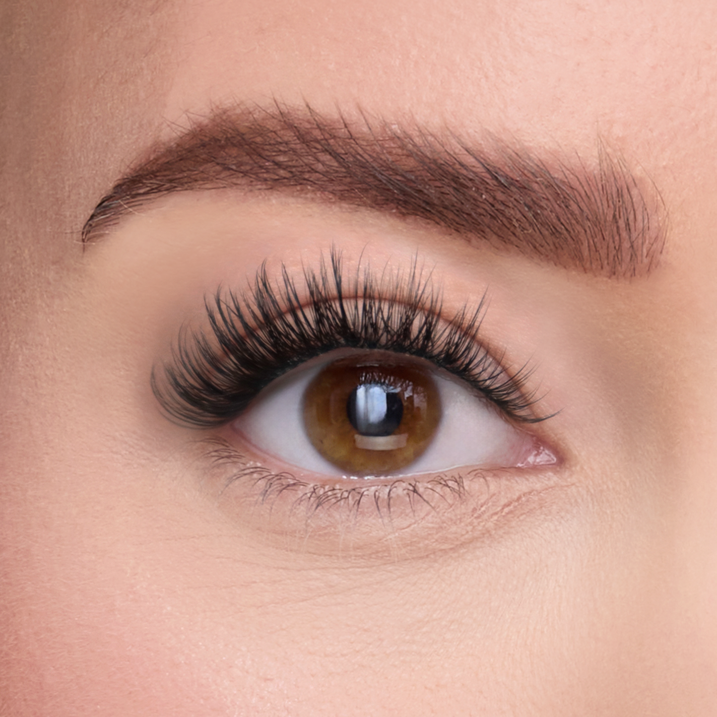 The STICKtionary Discovery Set