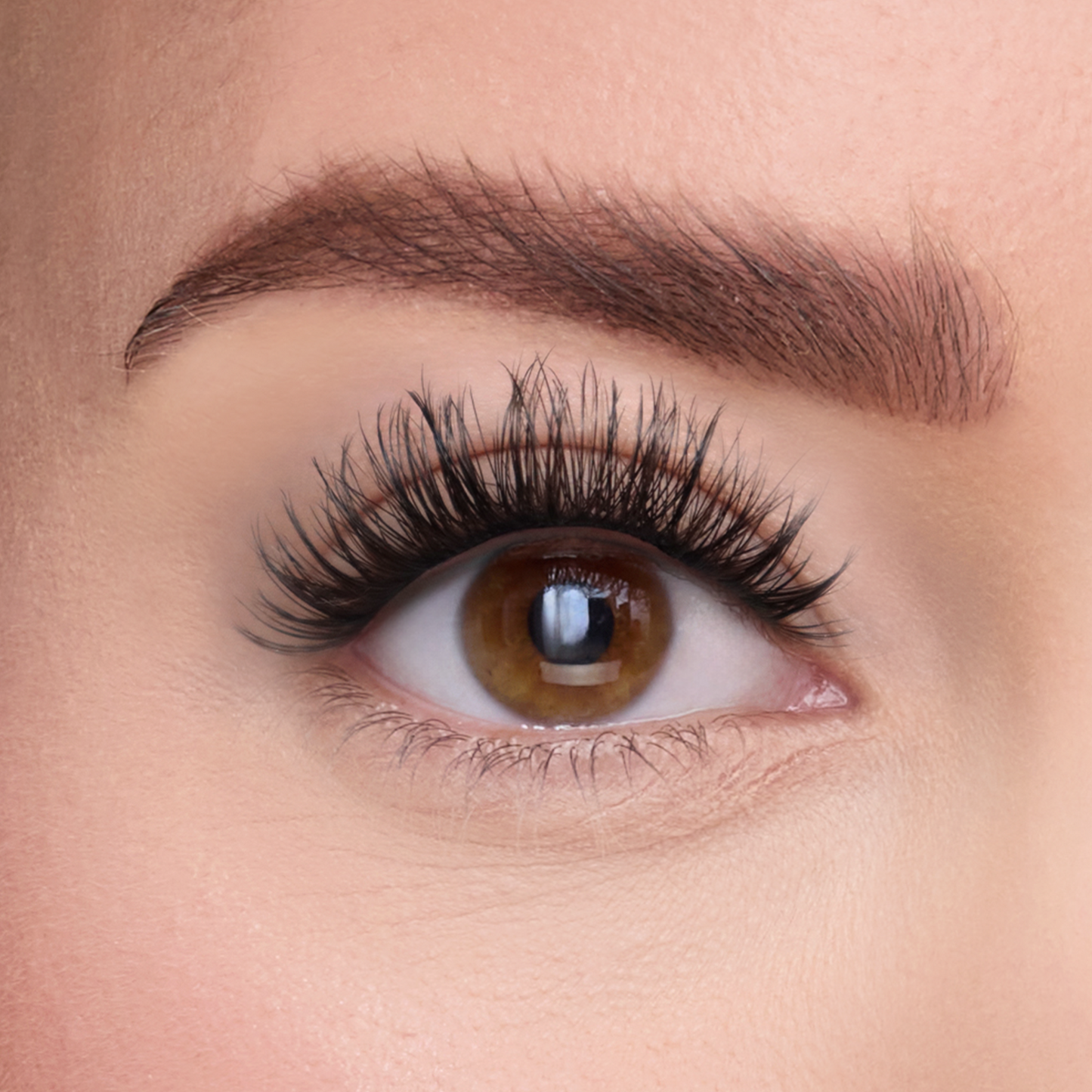 The STICKtionary Discovery Set