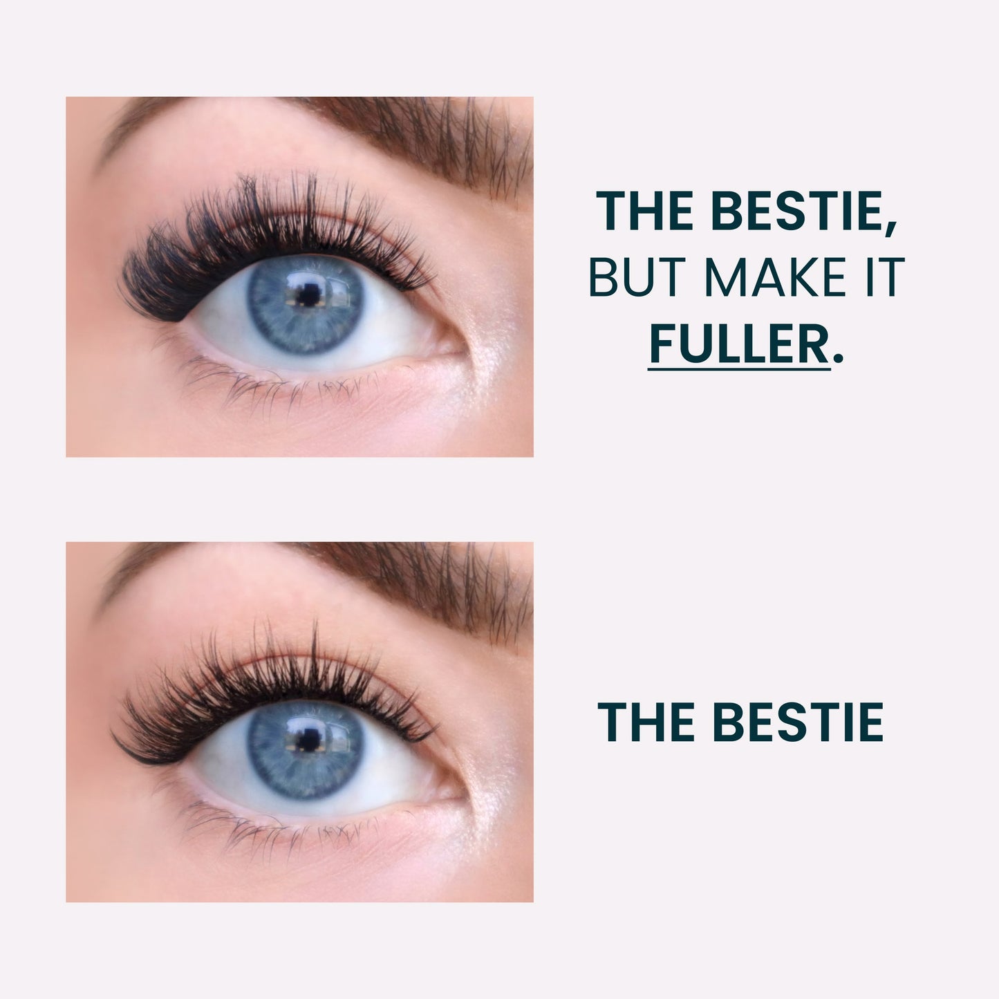 FlutterHabit Family Edit - Bestie but Fuller