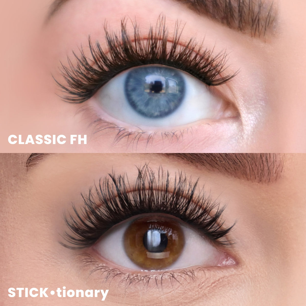 Water Lily | Eye Crop