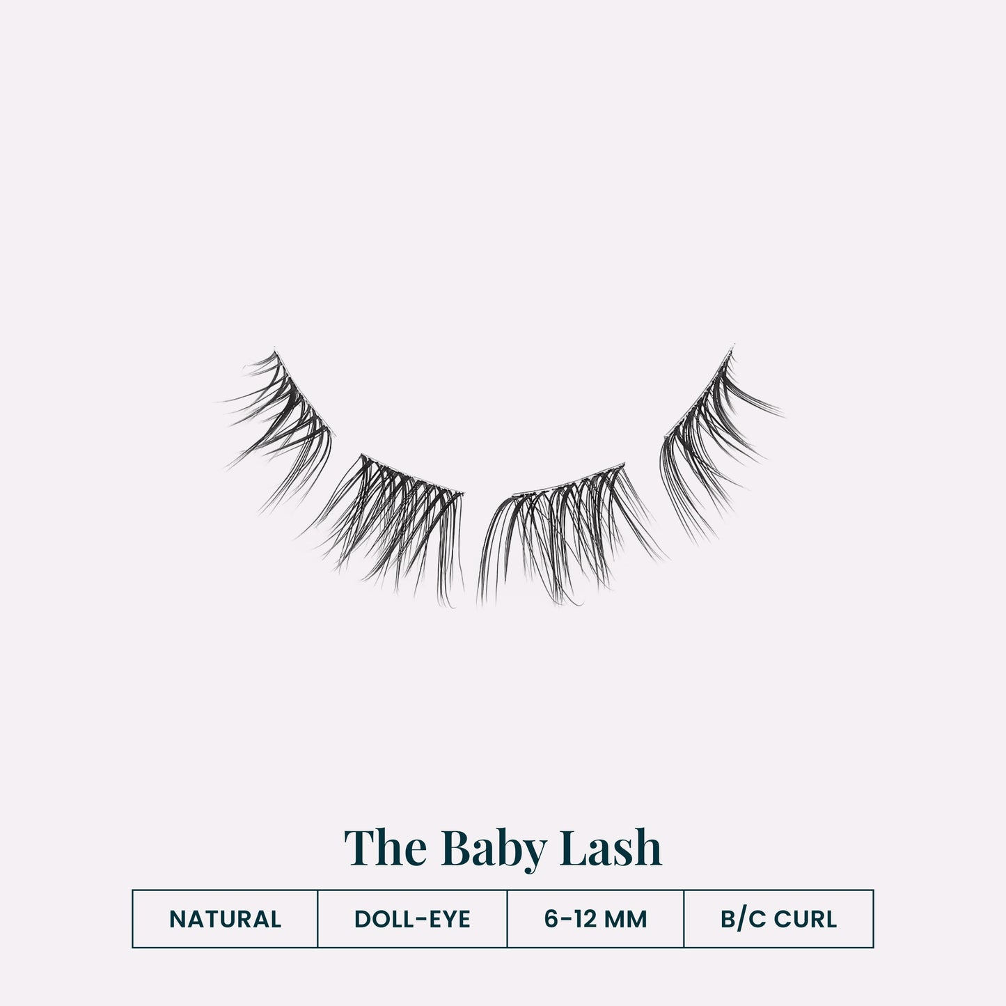The Baby Lash | Lash Stats