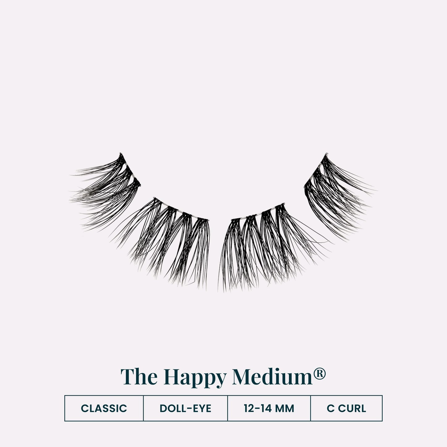 The Happy Medium® | Lash Stats