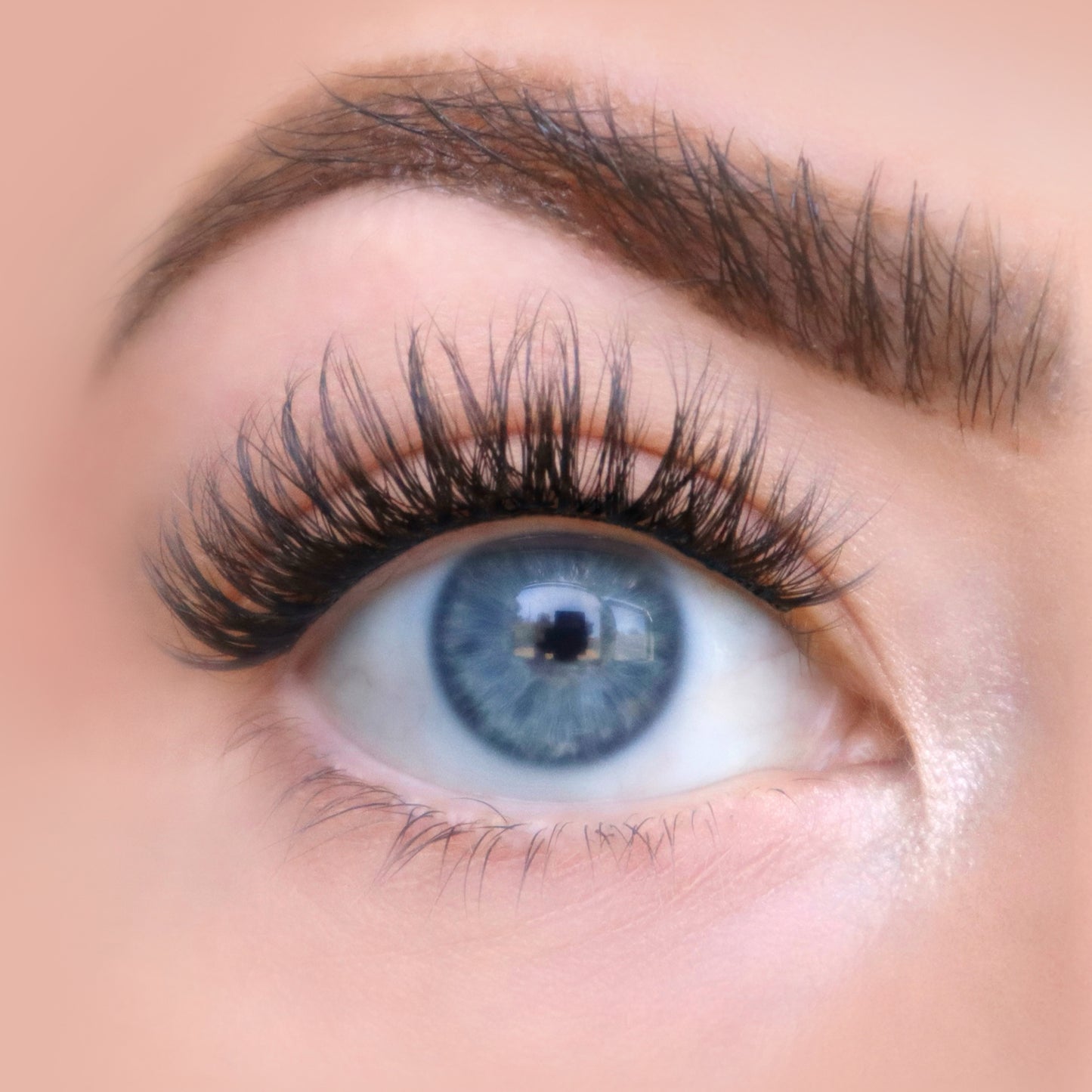 Black The Dreamer | Close-up of The Dreamer black DIY lash cluster extensions — lightweight, airy, wispy everyday lash look