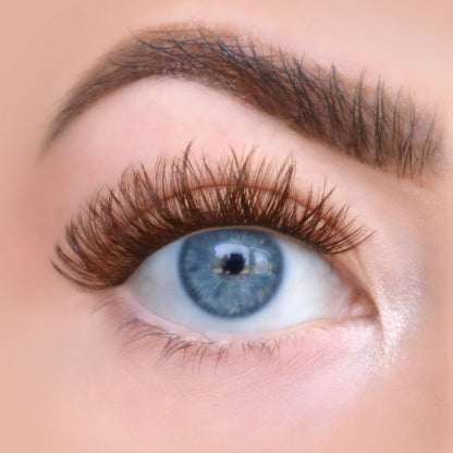 Brunette The Sweetheart | Close-up of The Sweetheart brunette DIY lash cluster extensions — doll-eye curl with dramatic lift in warm brunette
