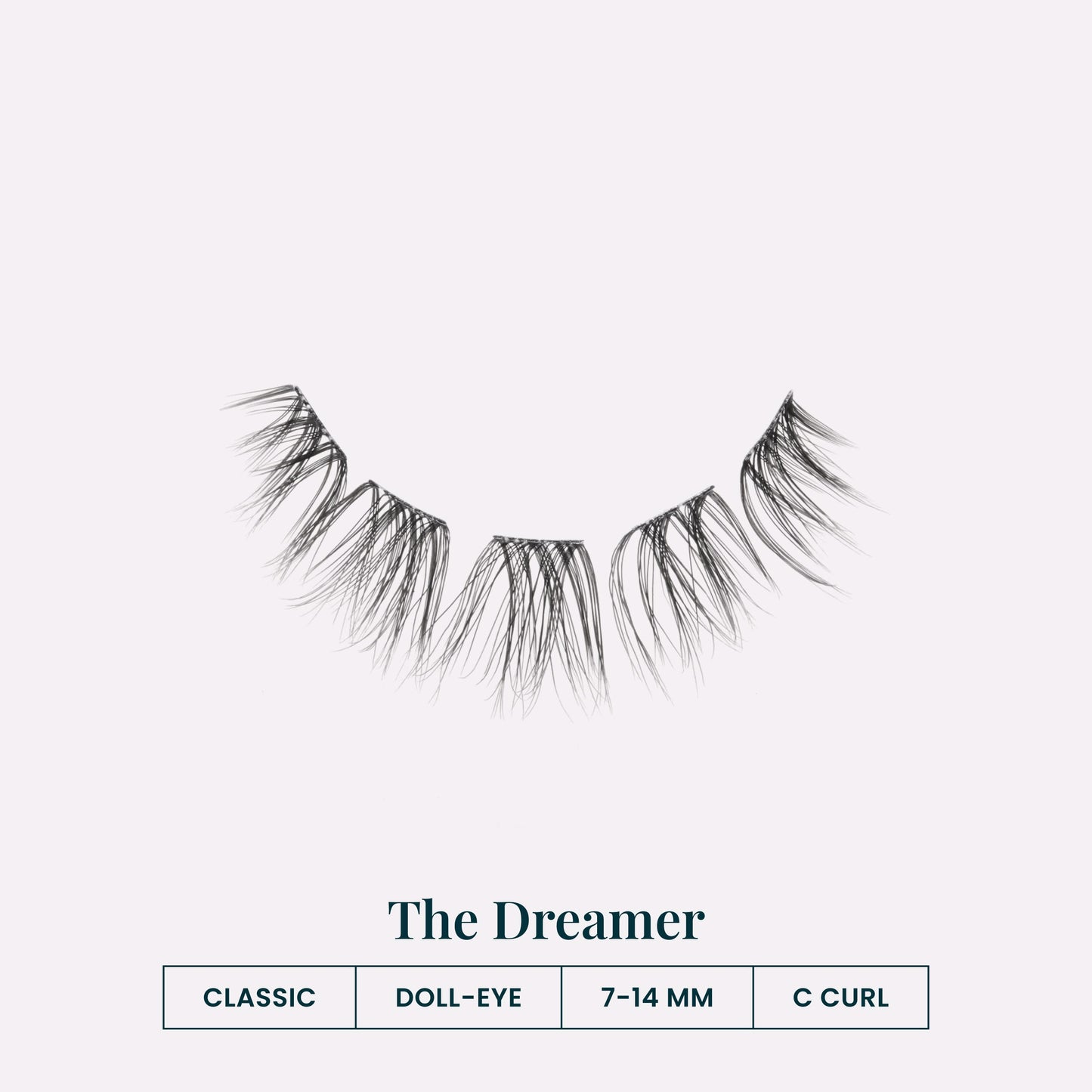 The Dreamer | Lash Specs