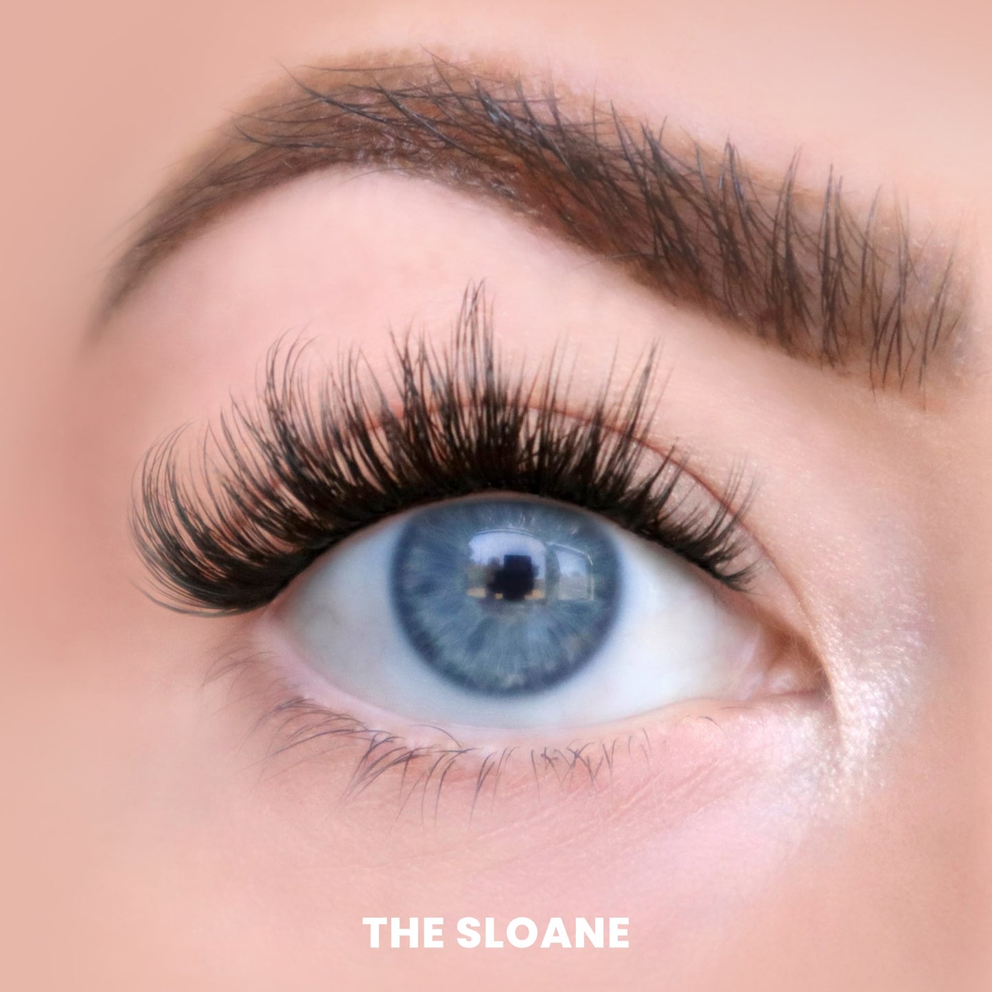 The Holiday Core Trio