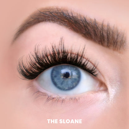 The Holiday Core Trio