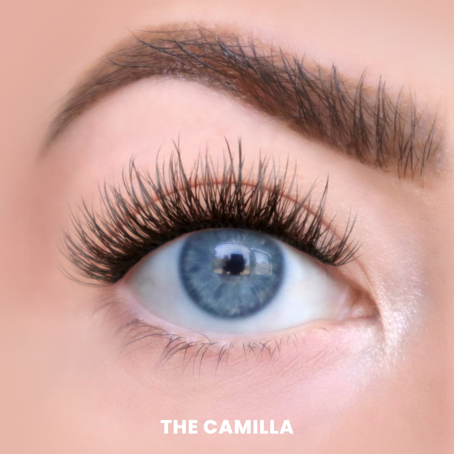 The Holiday Core Trio