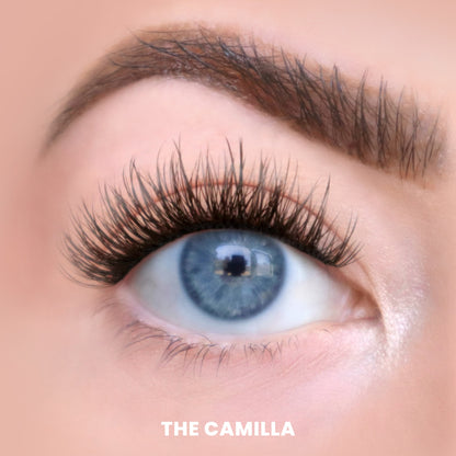 The Holiday Core Trio