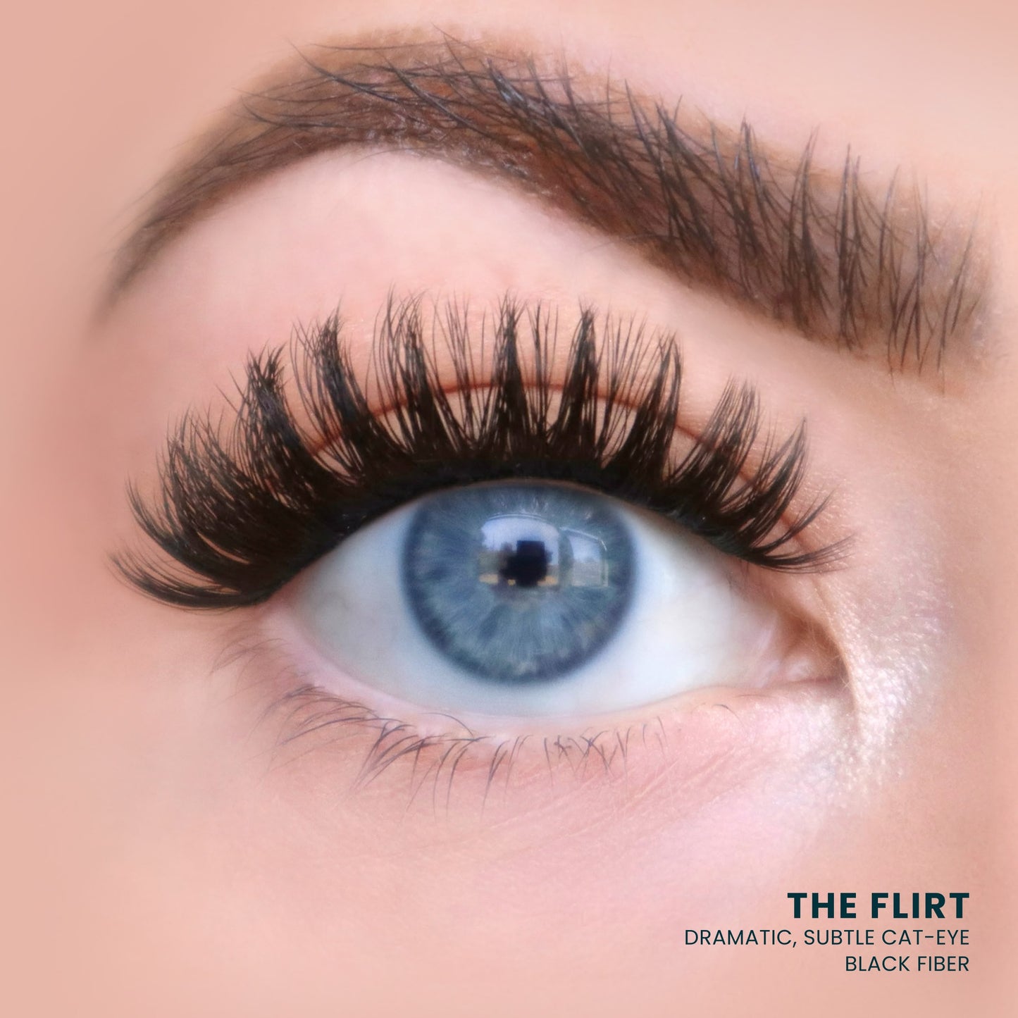 The Flirt
