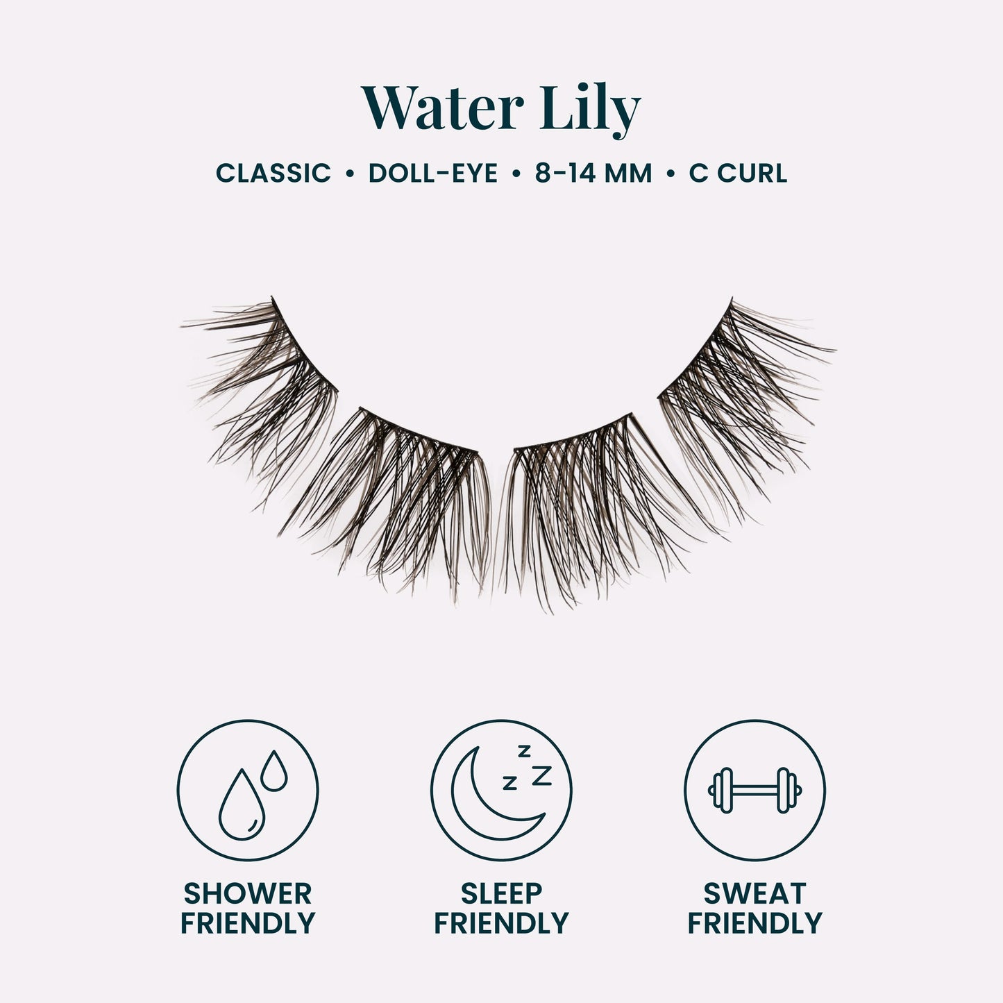 Water Lily