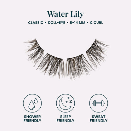 Water Lily