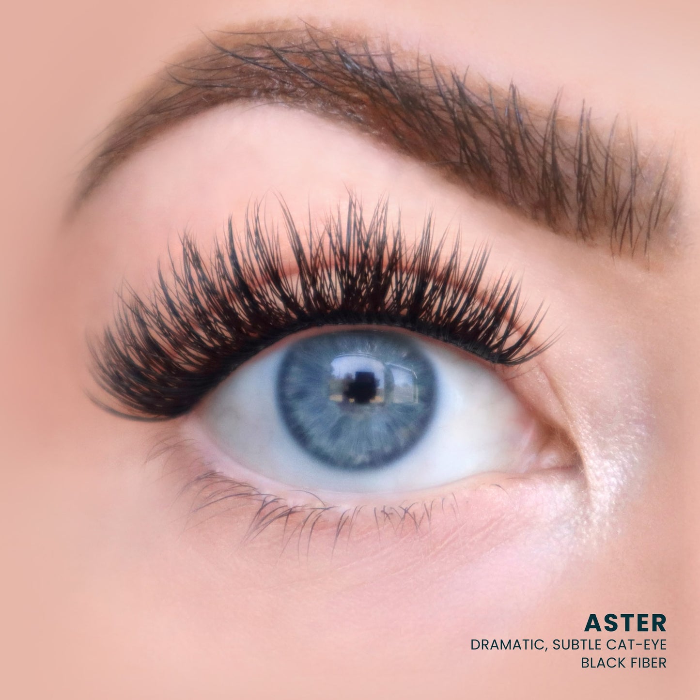 Aster