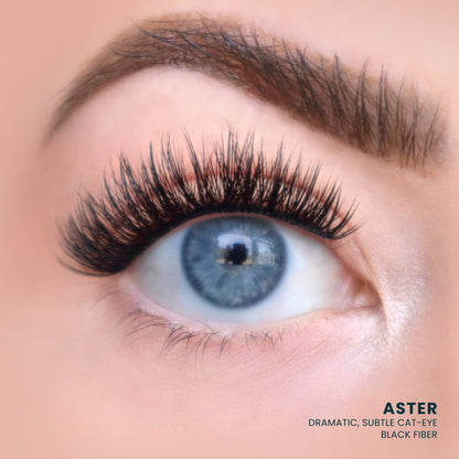 Aster