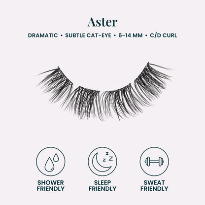 Aster