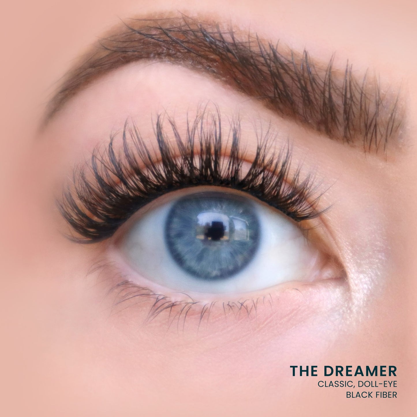 The Dreamer