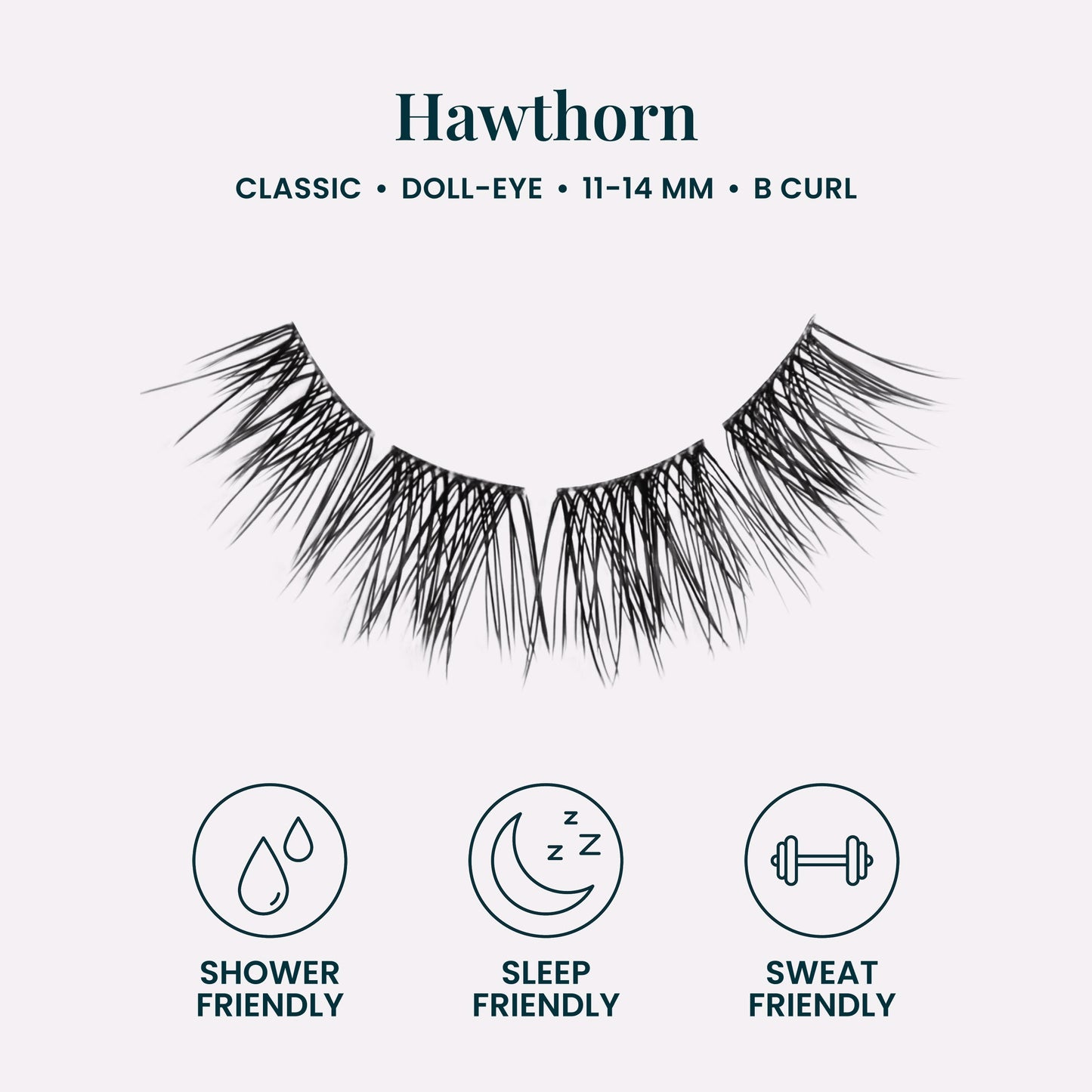 Hawthorn