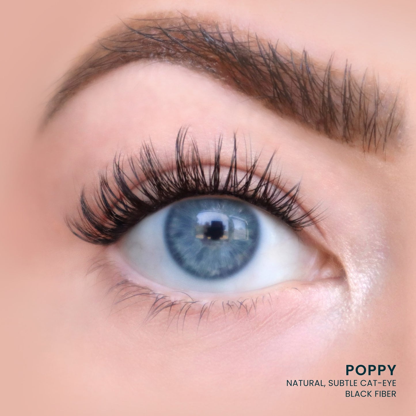 Poppy
