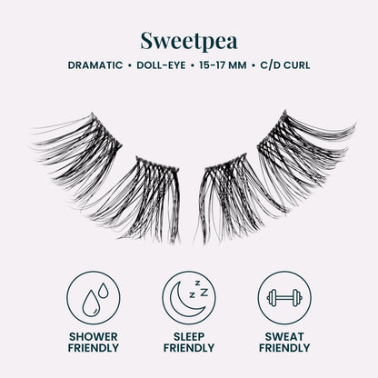 Sweetpea