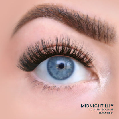Midnight Lily