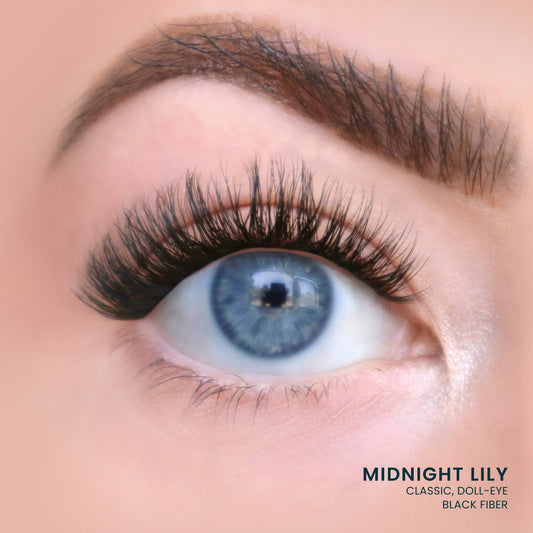 Midnight Lily