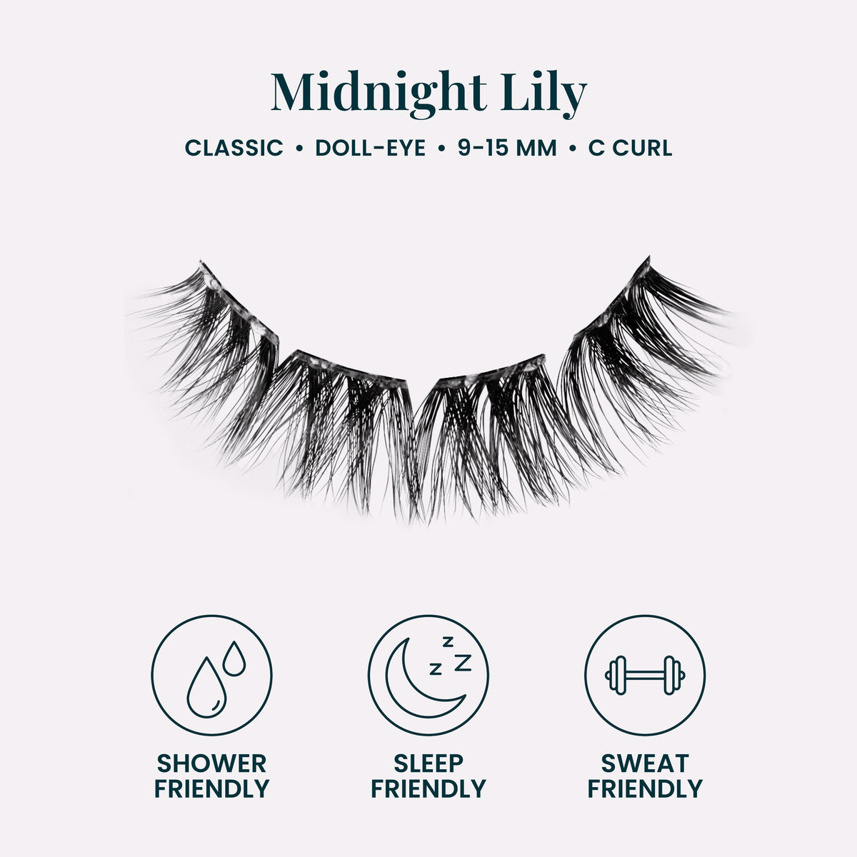Midnight Lily