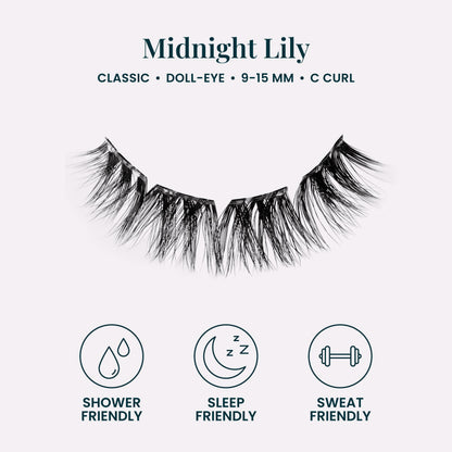 Midnight Lily
