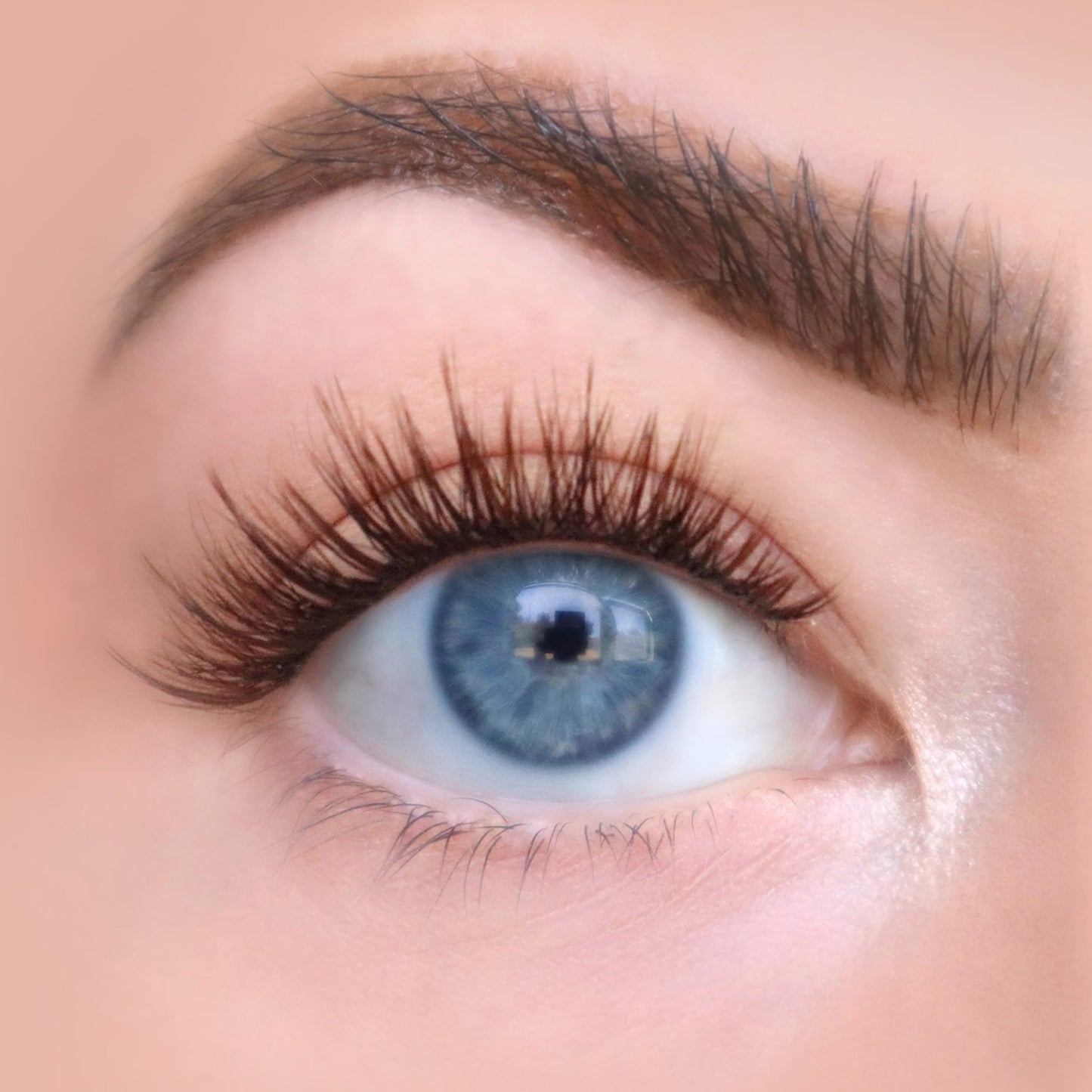 Brunette | Eye Crop