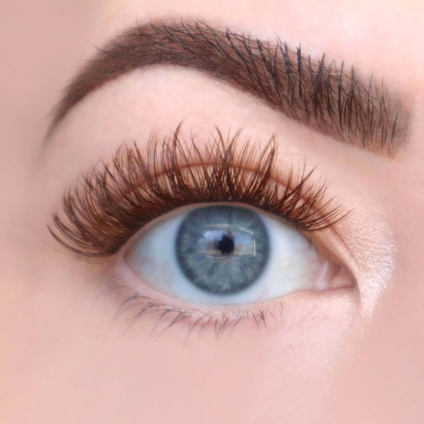 dtc-lashes-the-sweetheart-brunette