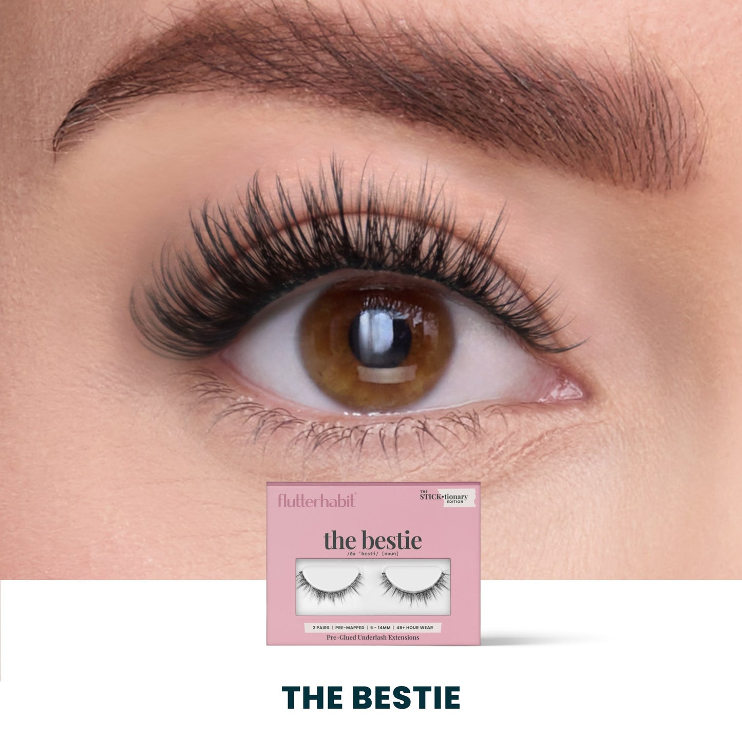 The Holiday Haul Bundle