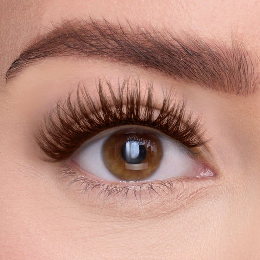 The Dreamer Brunette Pre-Glued with ProTECHt™