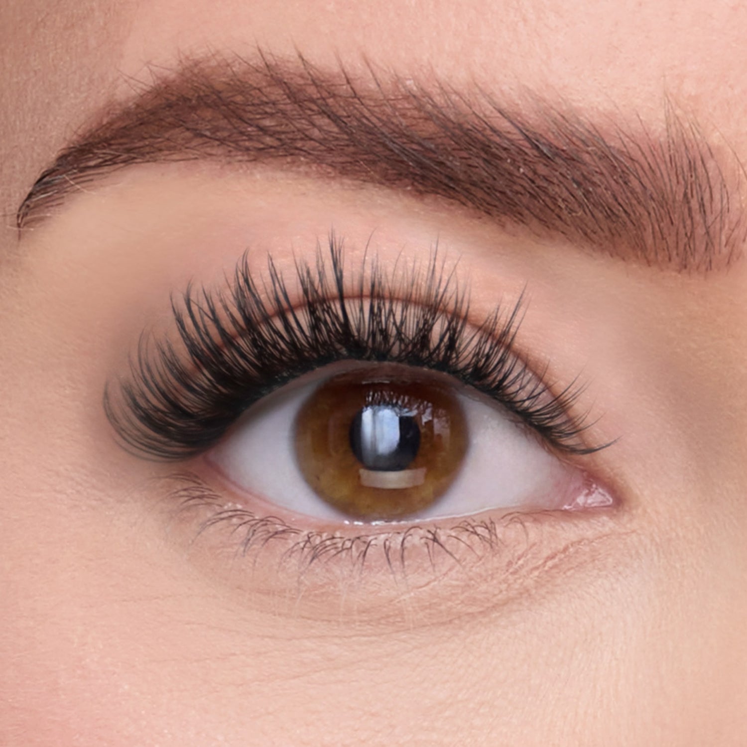 The Bestie Pre-Glued with ProTECHt™