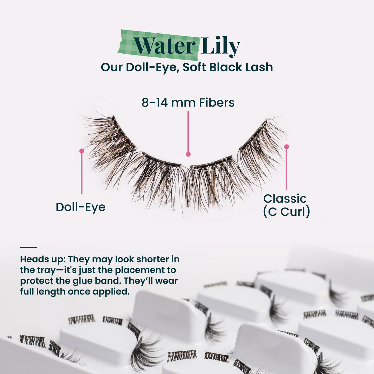 Water Lily Pre-Glued with ProTECHt™