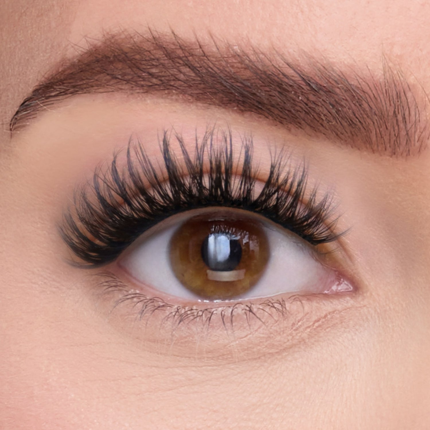 The Dreamer | Eye Crop