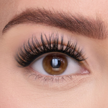 The Dreamer | Eye Crop