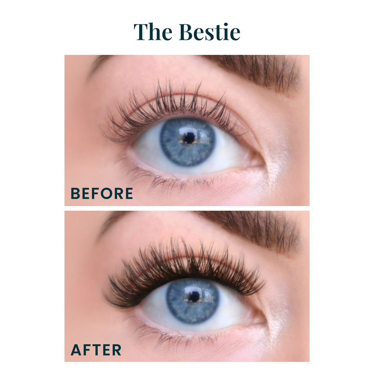 The Lash Commitment Kit