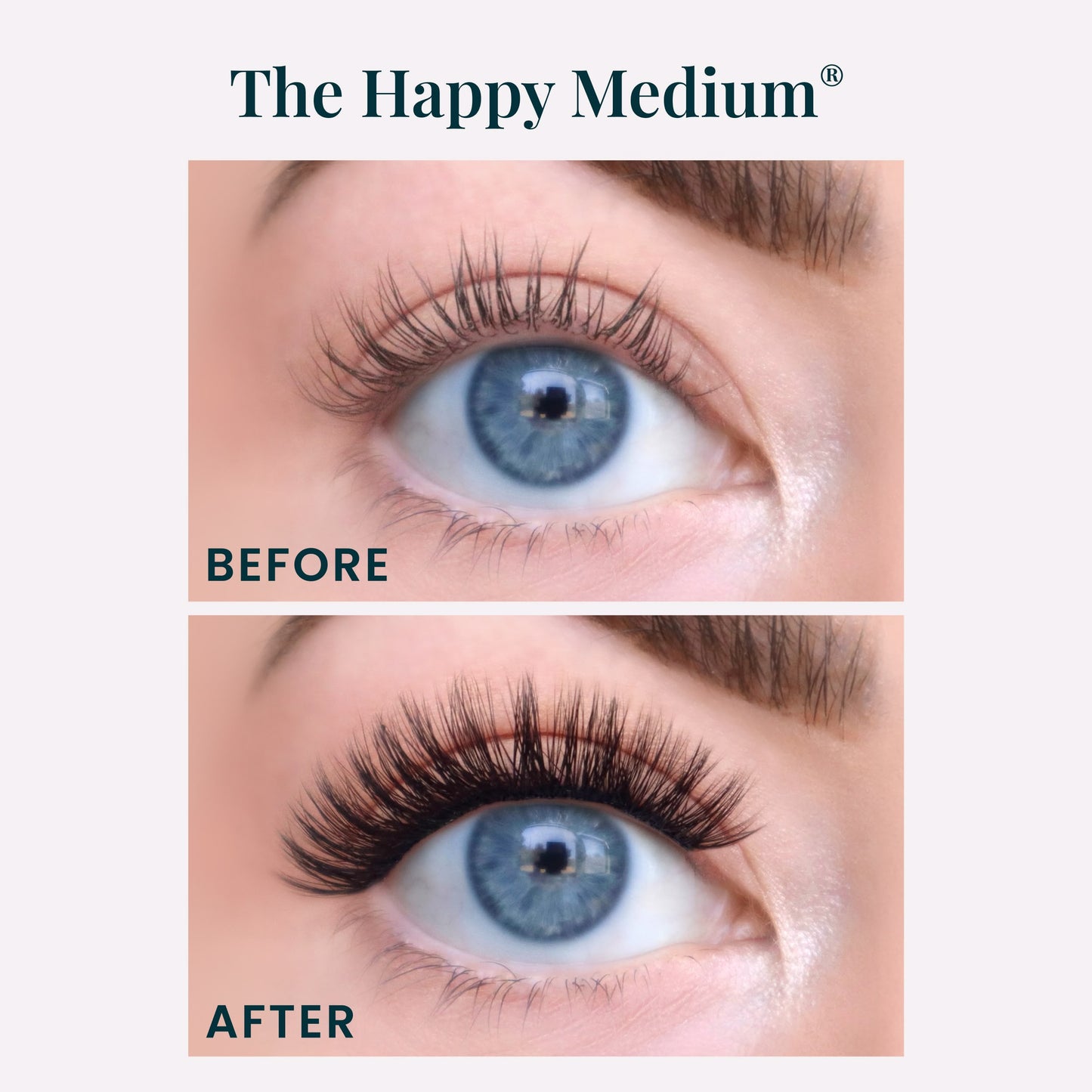 The Lash Commitment Kit