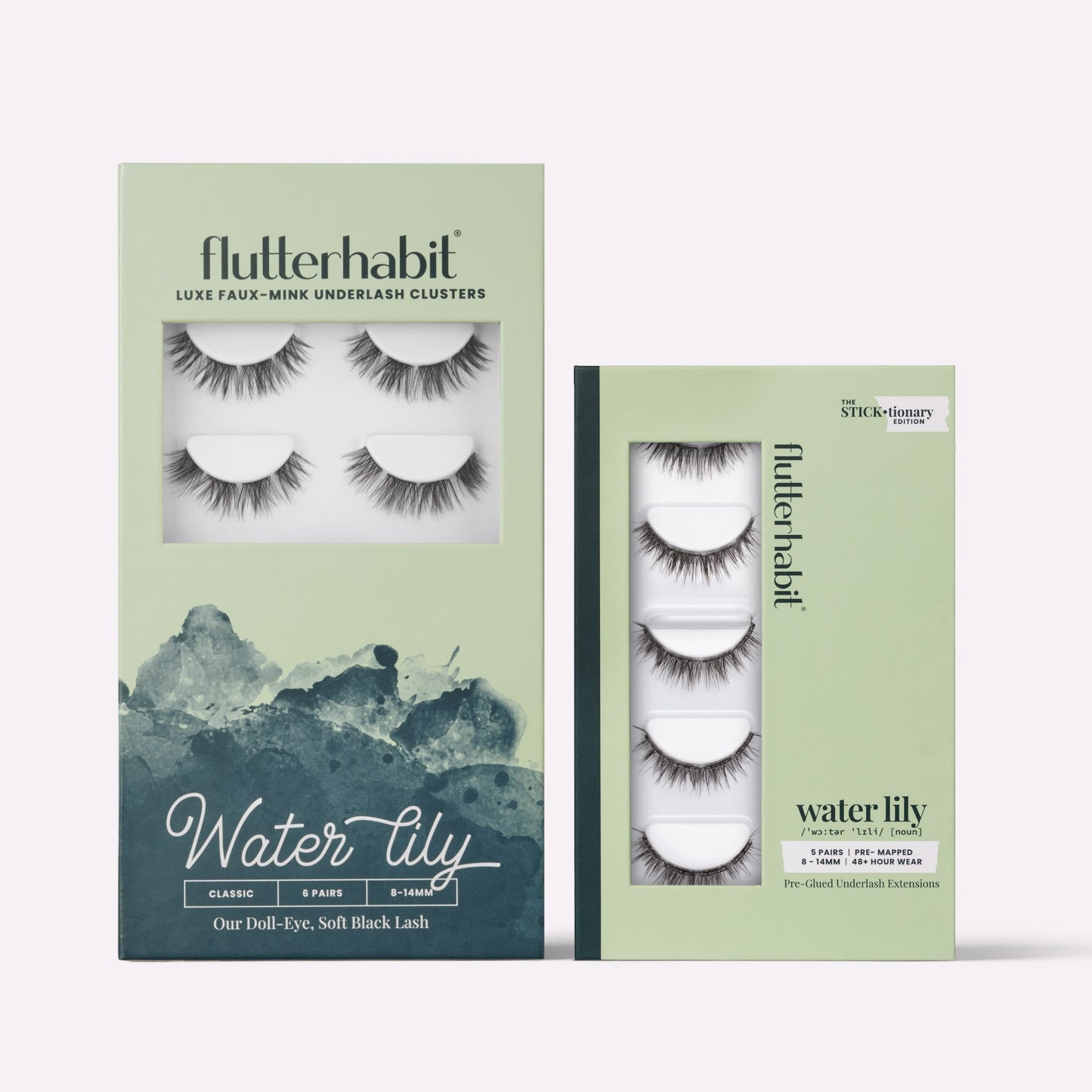 Water Lily | Main