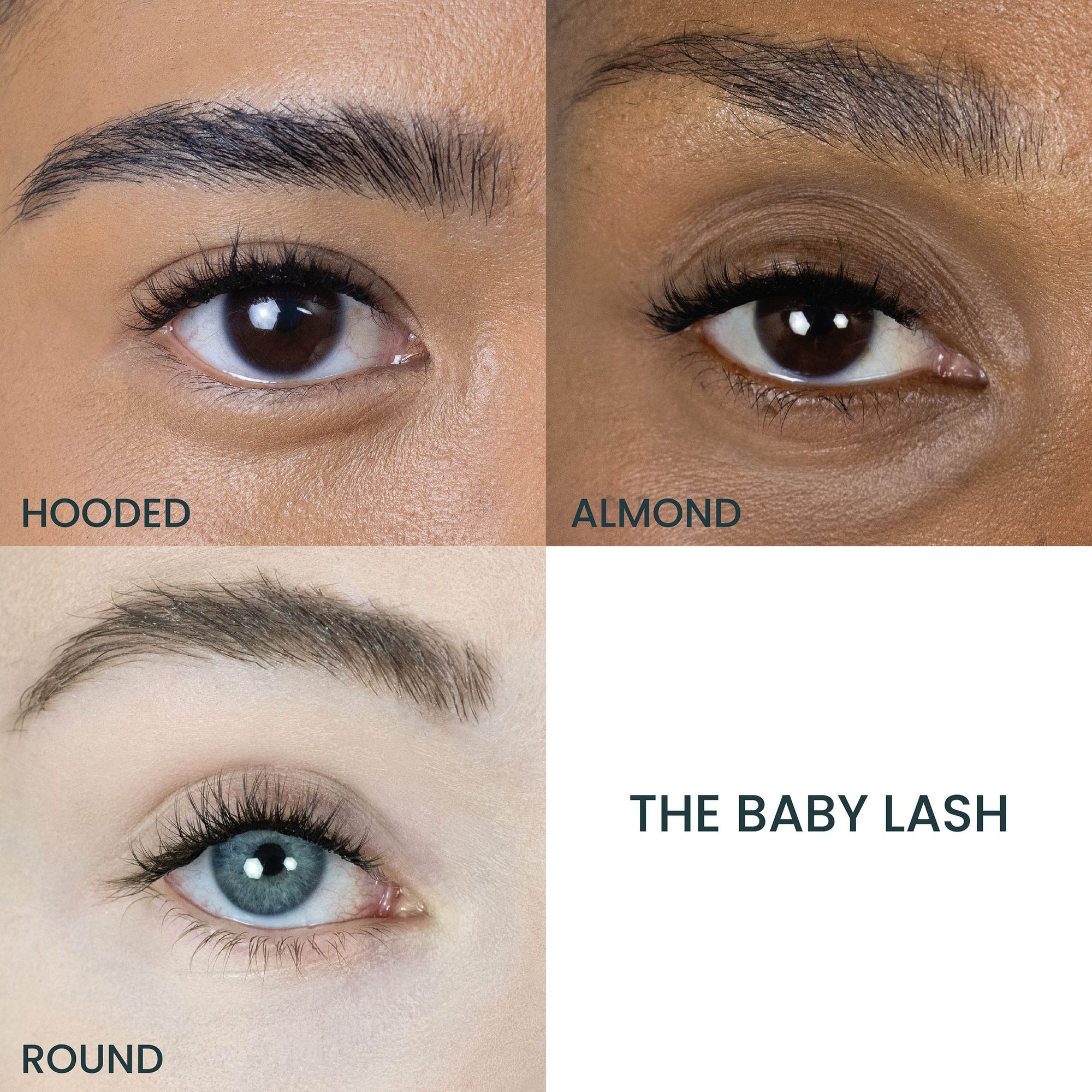 The Baby Lash