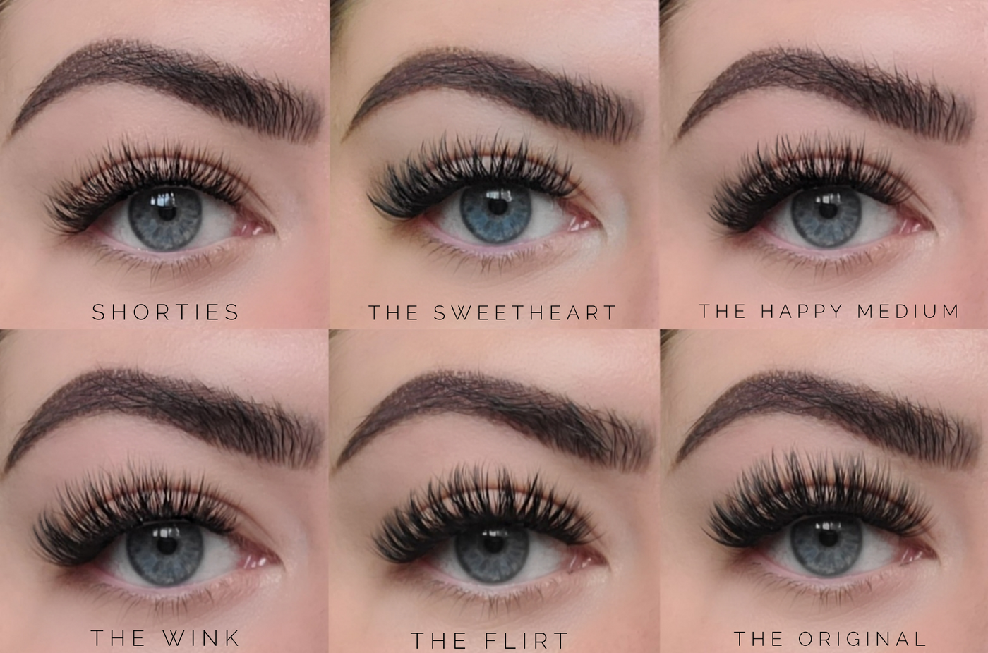 Classic Collection Sampler Box FlutterHabit
